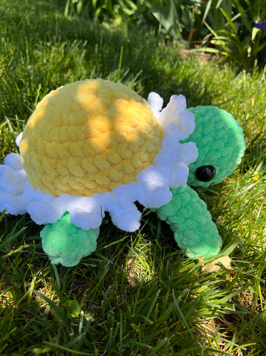 Daisy the Turtle